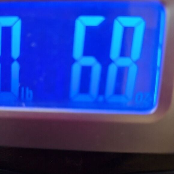 Florida State Seminoles Football Tshirt NO SZ TAG  ? LG Red SEE MEASUREMENTS - Picture 8 of 8